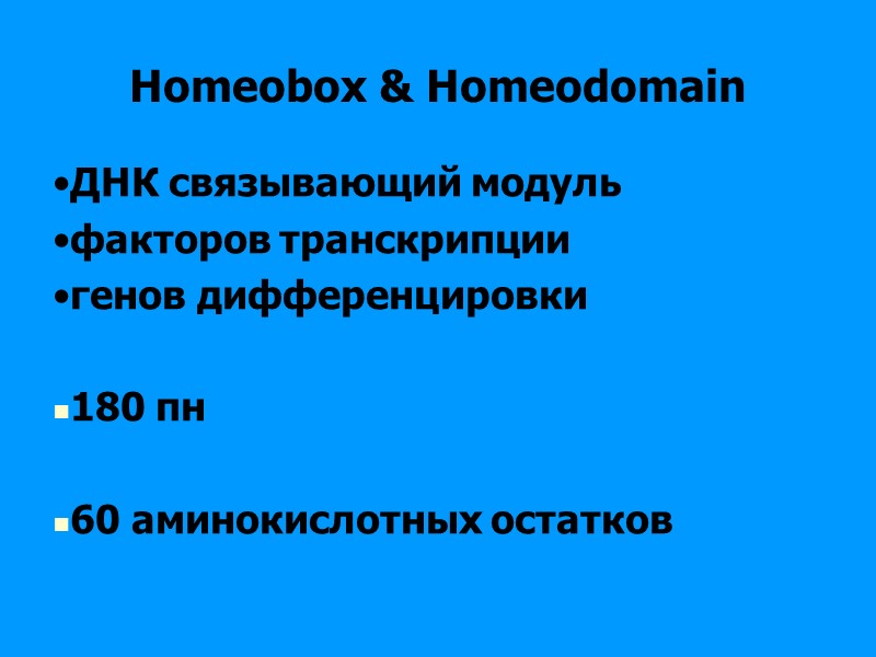 Homeobox & Homeodomain ДНК связывающий модуль факторов транскрипции генов дифференцировки Homeobox & Homeodomain ДНК связывающий модуль факторов транскрипции генов дифференцировки